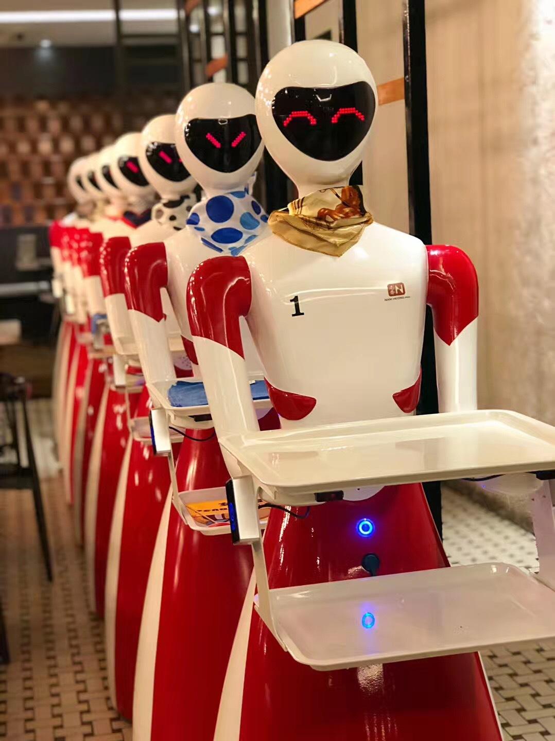 2025中国深圳国际具身智能与人形机器人展览会